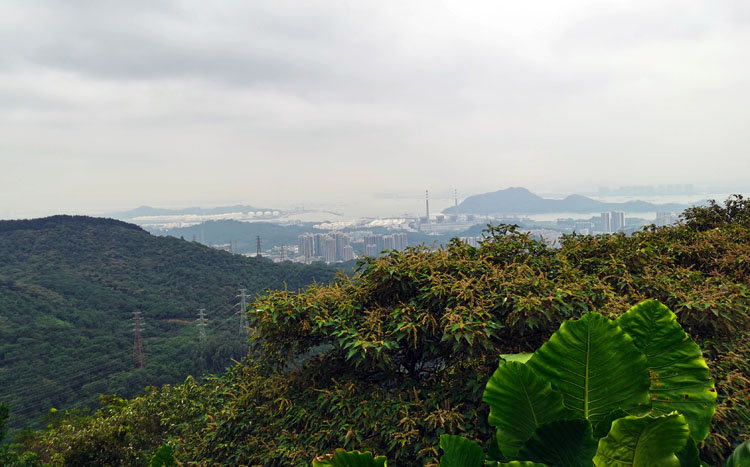 激揚(yáng)青春、奮勇攀登登山活動